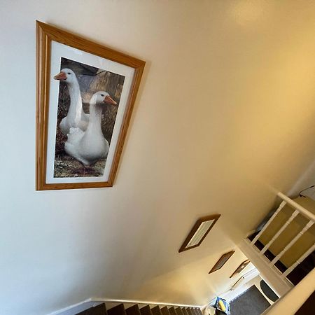 דירות סווינדון Beanies Lornestreet Four Bed House מראה חיצוני תמונה